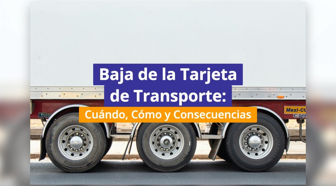 Baja de la Tarjeta de Transporte: Cuándo, Cómo y Consecuencias
