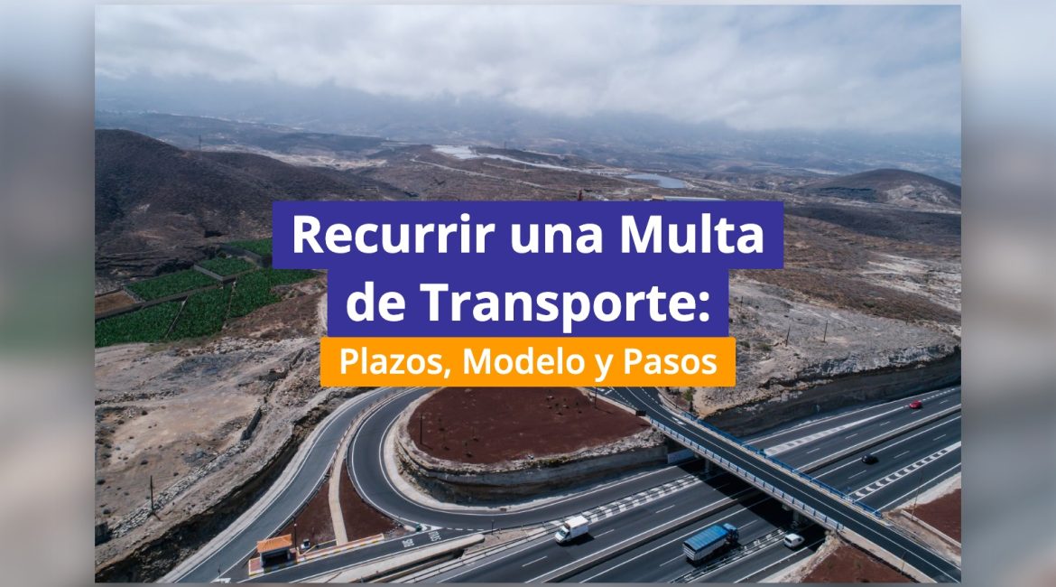 Recurrir una Multa de Transporte: Plazos, Modelo y Pasos